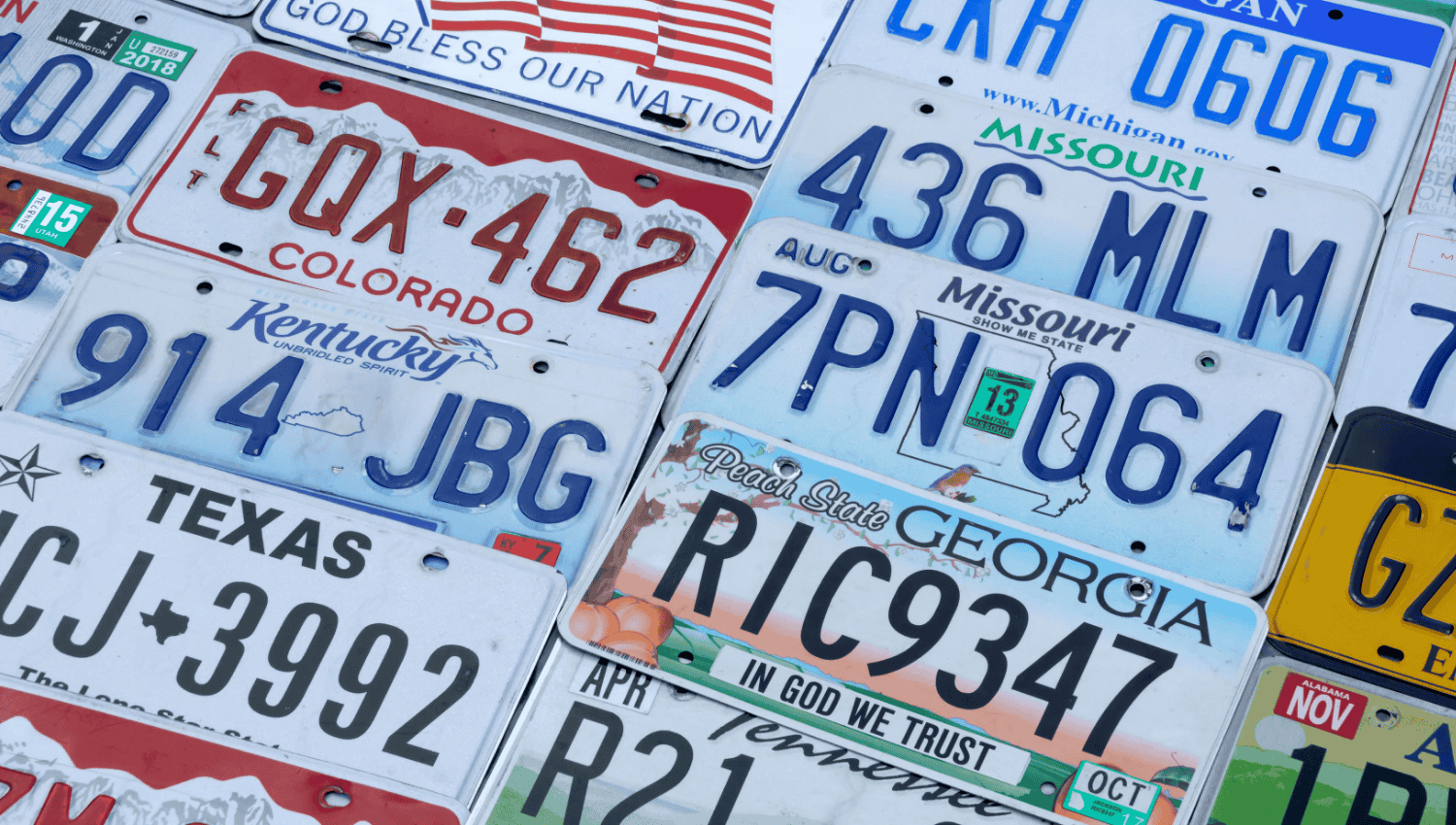 Themed License Plate Frames Ideas