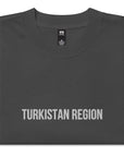 Turkistan Region KZ 13 Embroidered Oversized T-shirt