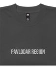 Pavlodar Region KZ 14 Embroidered Oversized T-shirt