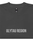 Ulytau Region KZ 20 Embroidered Oversized T-shirt