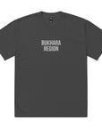 Bukhara Region UZB Embroidered Oversized faded t-shirt
