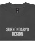 Surxondaryo Region UZ Embroidered Oversized faded t-shirt