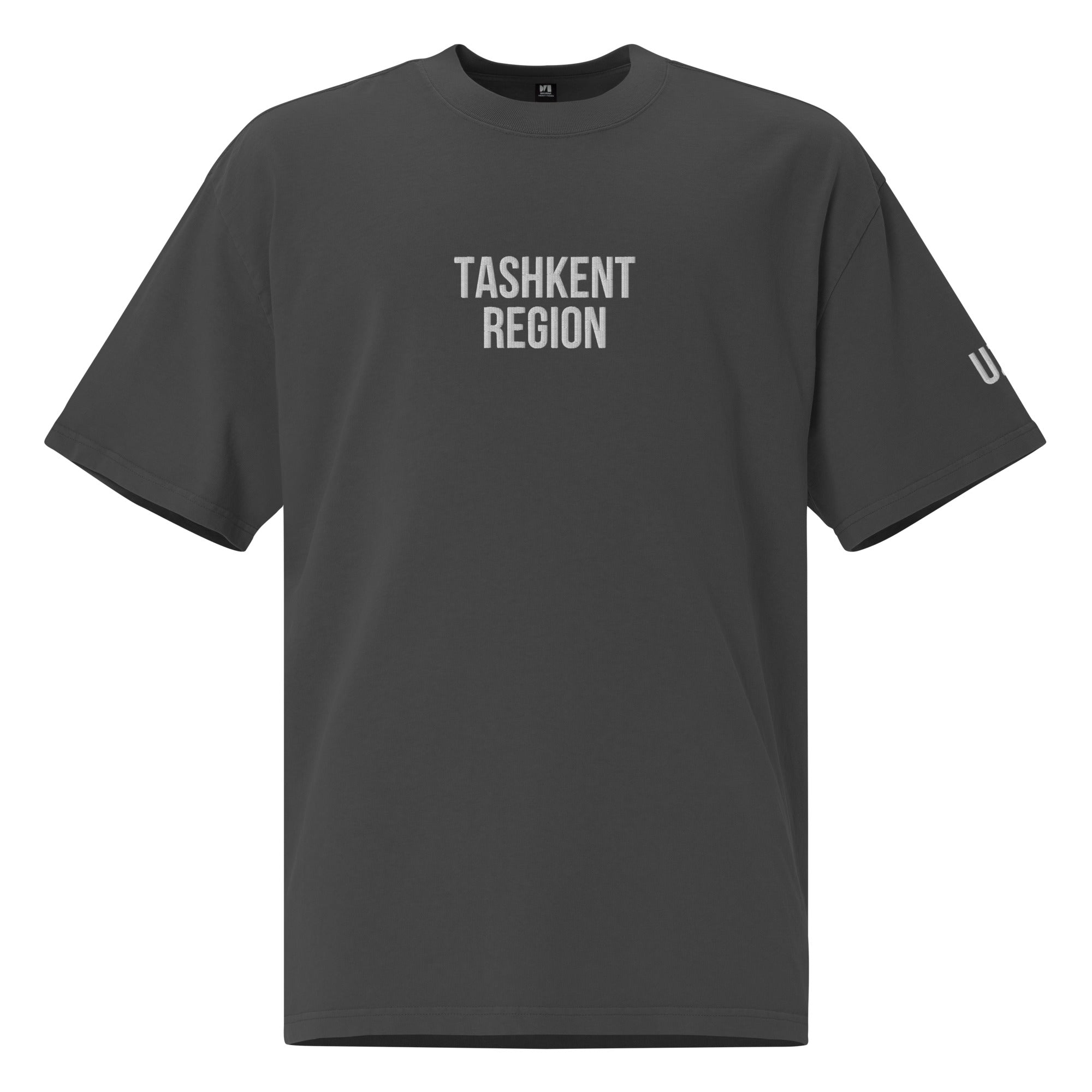 Tashkent Region UZB Embroidered Oversized faded t-shirt