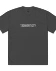 Tashkent City UZB Embroidered Oversized faded t-shirt