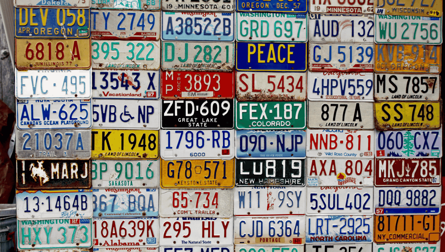 Personalized License Plate Frames Ideas
