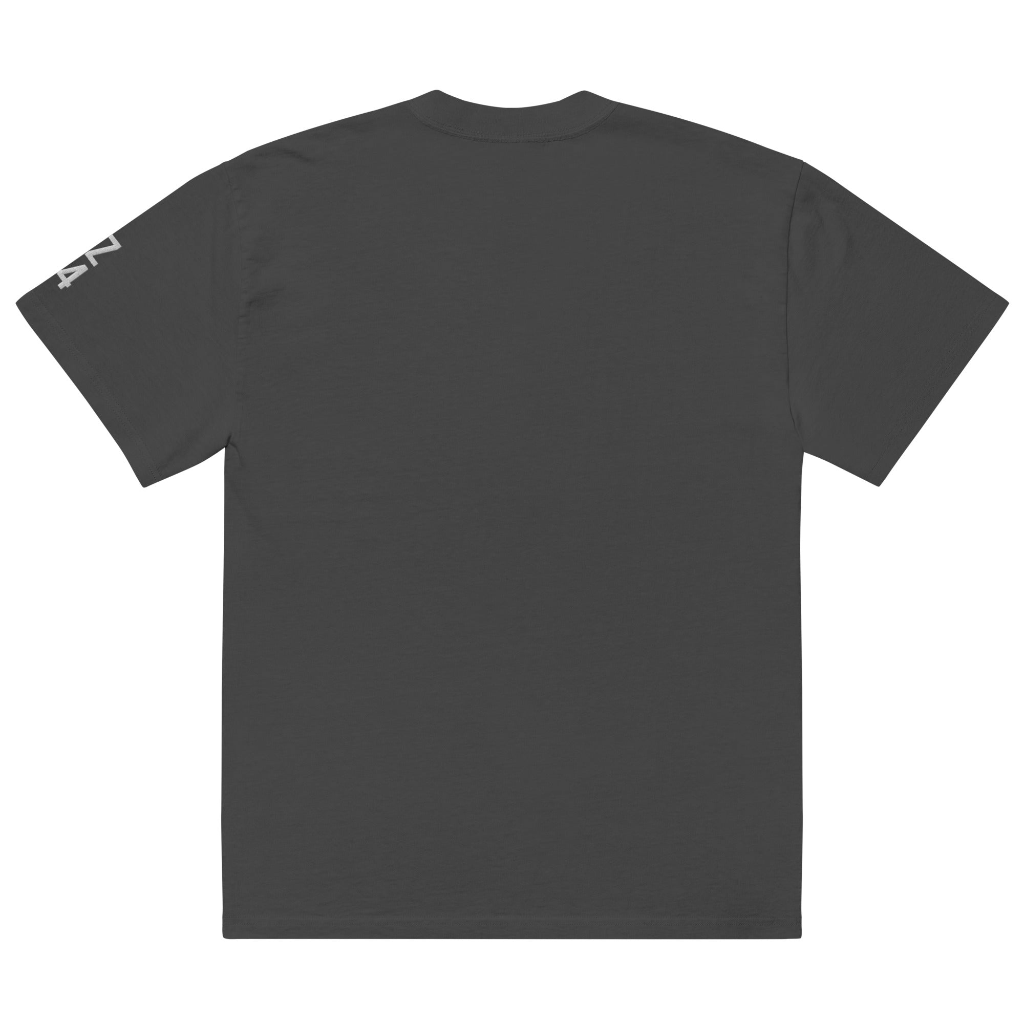 Pavlodar Region KZ 14 Embroidered Oversized T-shirt