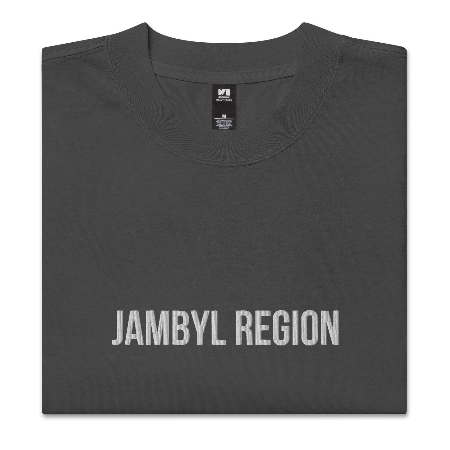 Jambyl Region KZ 08 Embroidered Oversized T-shirt