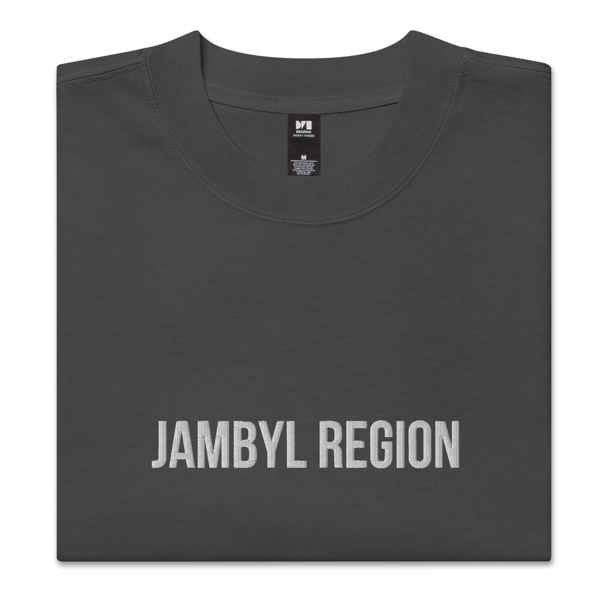 Jambyl Region KZ 08 Embroidered Oversized T-shirt
