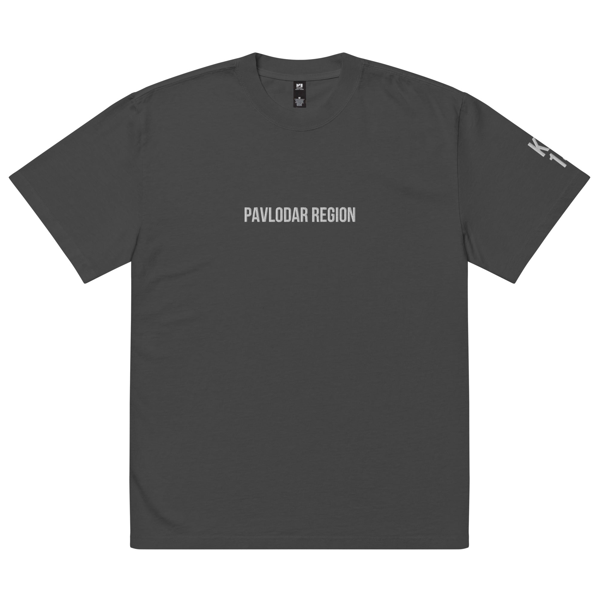 Pavlodar Region KZ 14 Embroidered Oversized T-shirt