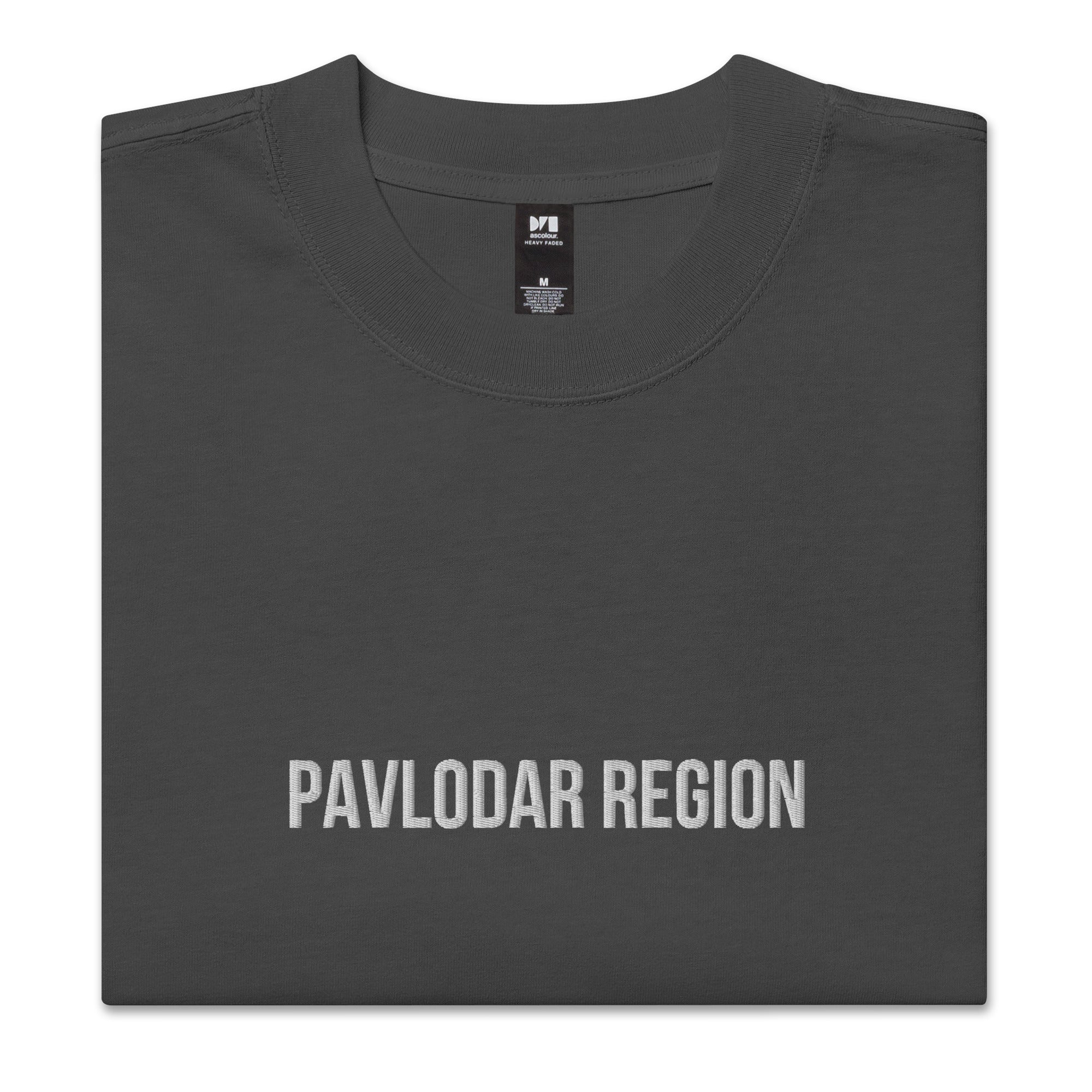 Pavlodar Region KZ 14 Embroidered Oversized T-shirt