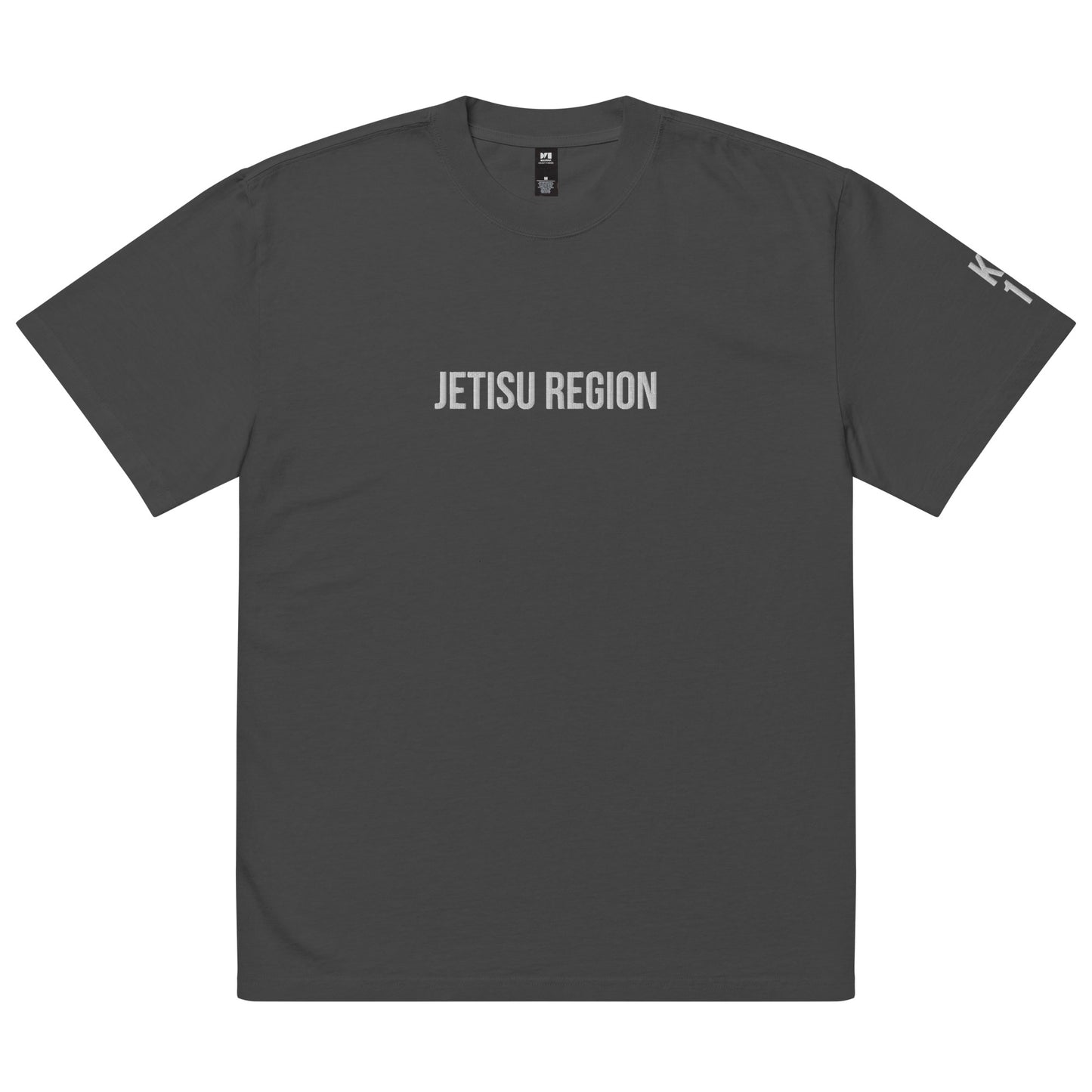 Jetisu Region KZ 19 Embroidered Oversized T-shirt
