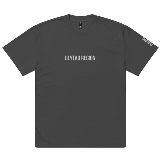 Ulytau Region KZ 20 Embroidered Oversized T-shirt