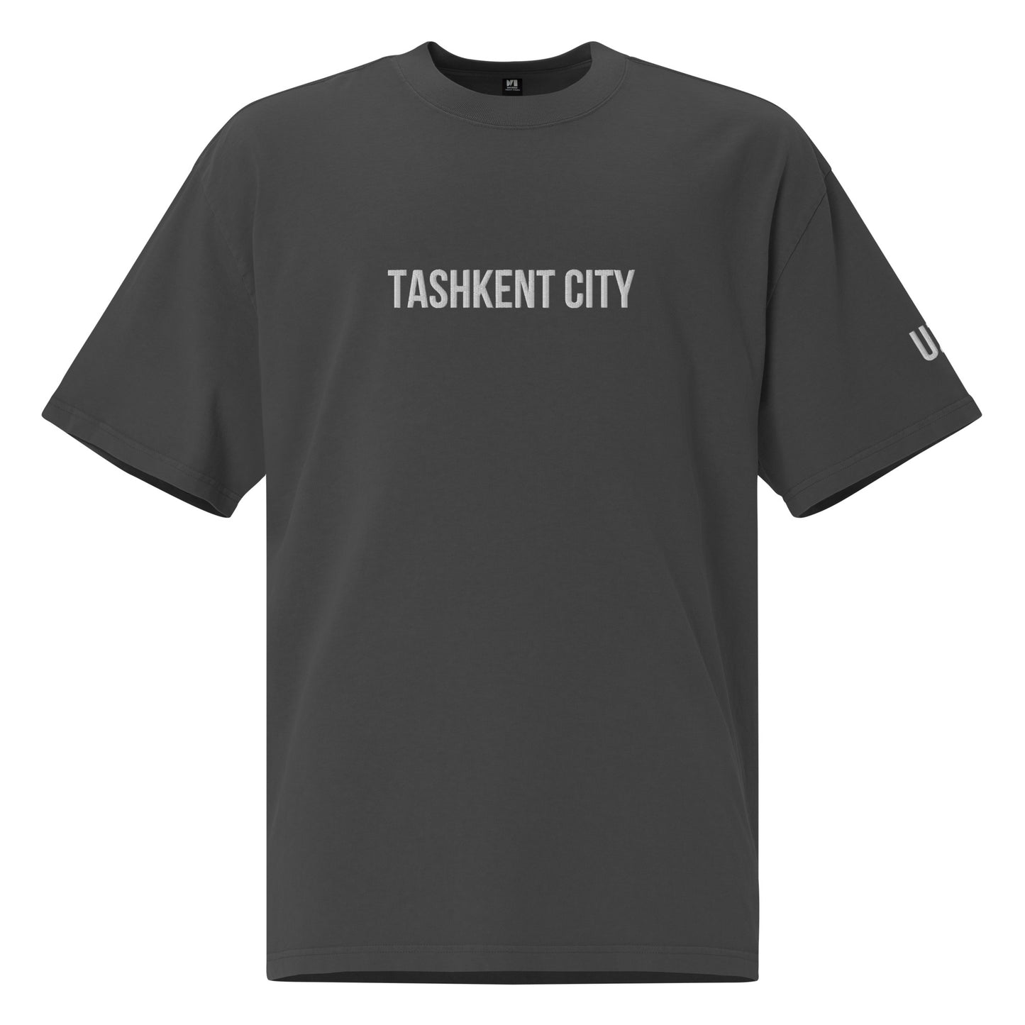 Tashkent City UZB Embroidered Oversized faded t-shirt