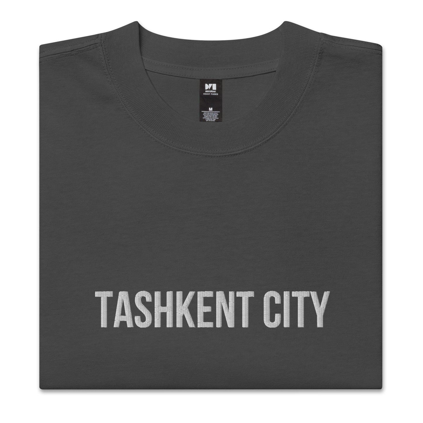 Tashkent City UZB Embroidered Oversized faded t-shirt