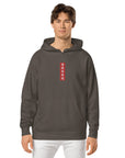 Qazaq EMB Premium Unisex pigment-dyed hoodie