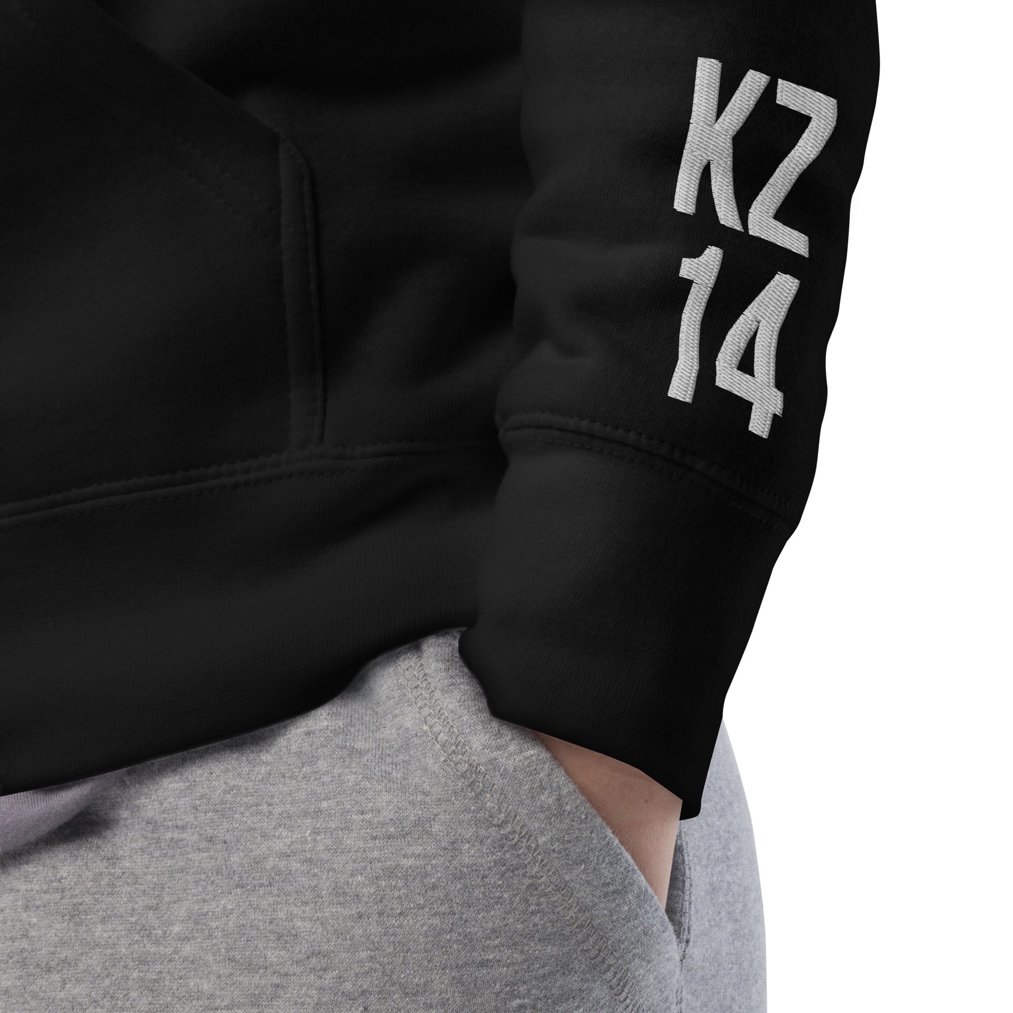 Pavlodar Region KZ 14 Unisex Hoodie