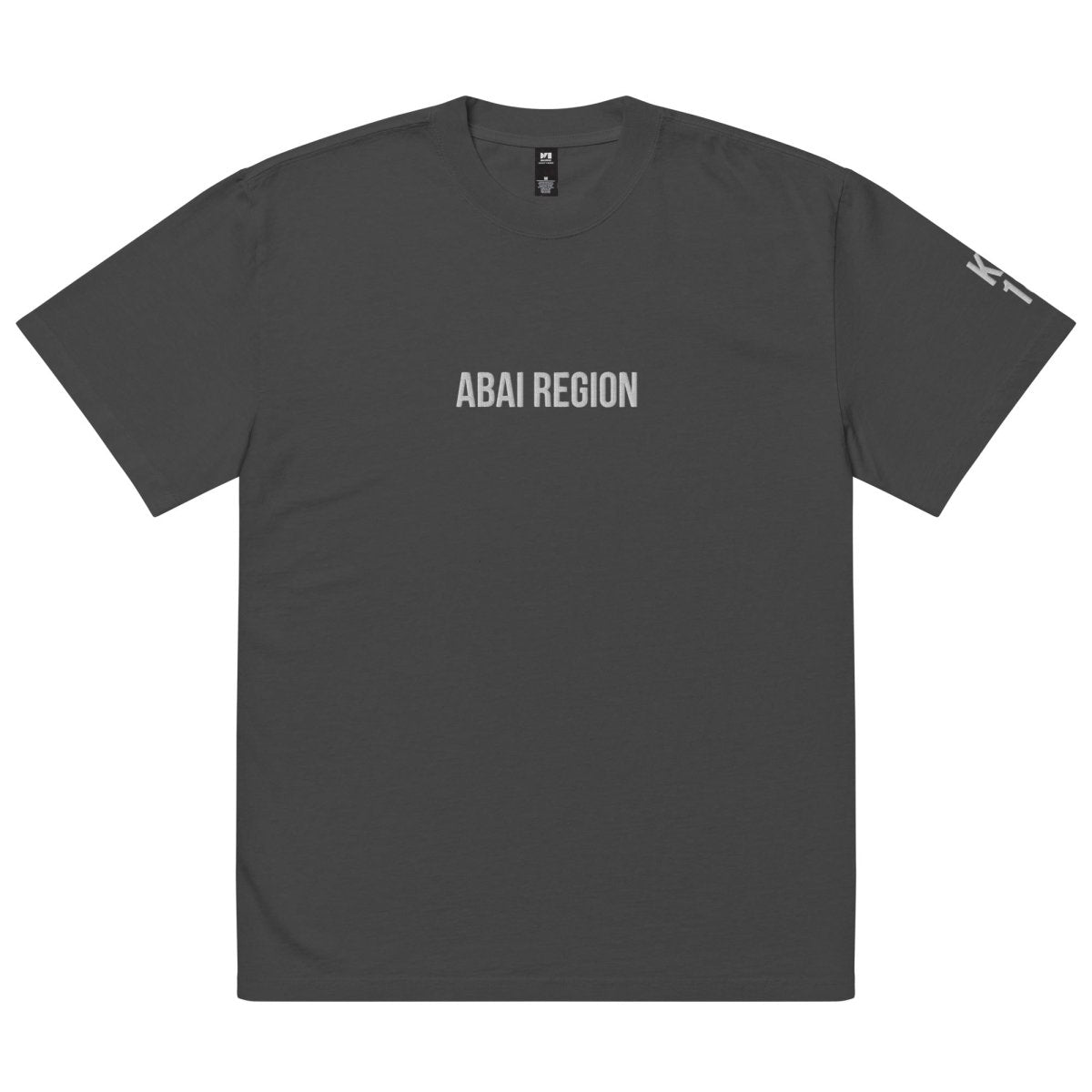 Abai Region KZ 18 Embroidered Oversized T-shirt - Cultics