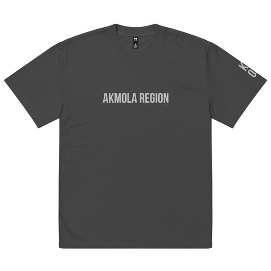 Akmola Region KZ 03 Embroidered Oversized T-shirt - Cultics